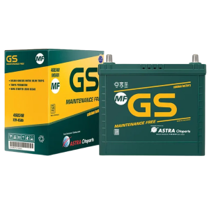 GS Maintenance Free